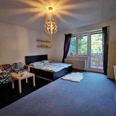 Cely Apartman Podlesi 54M2 S Dvema Balkony A S Novou Manzelskou Posteli, Zatim Neni Na Fotkach Appartement Brno Buitenkant foto