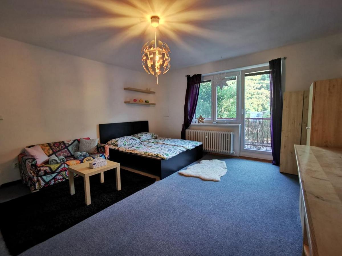 Cely Apartman Podlesi 54M2 S Dvema Balkony A S Novou Manzelskou Posteli, Zatim Neni Na Fotkach Appartement Brno Buitenkant foto